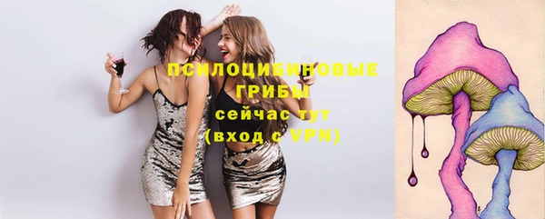 mdpv Новозыбков