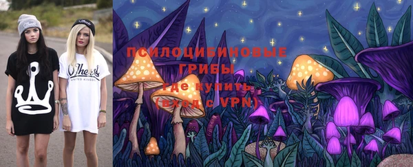 mdpv Новозыбков